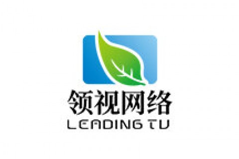福州领视网络科技有限公司